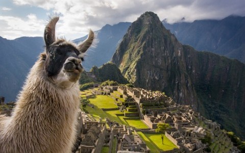Приключения в Перу // Бесплатная практика английского
